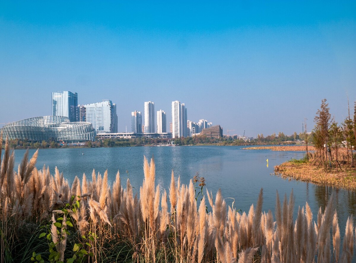 双清湾最新动态，城市发展的璀璨明珠闪耀新光芒