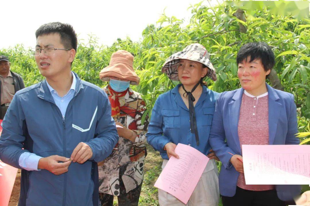 太子河区防疫检疫站最新项目进展及其影响揭秘