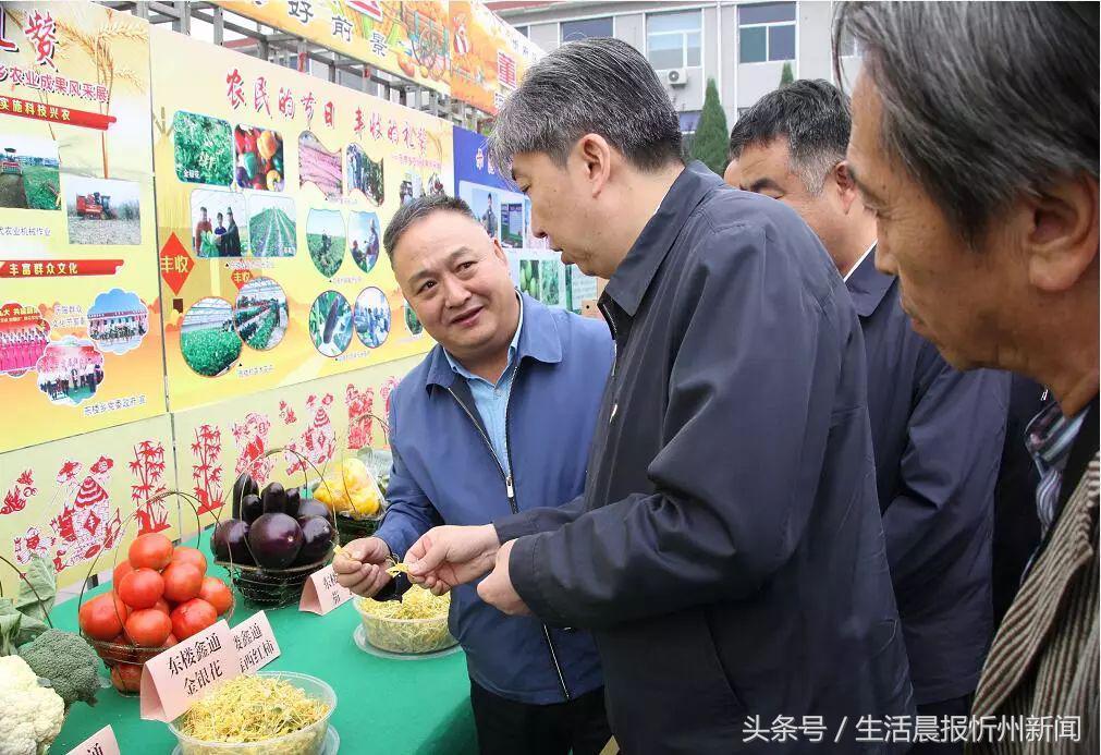 山西省忻州市忻府区东楼乡最新项目，乡村振兴的新动力源泉